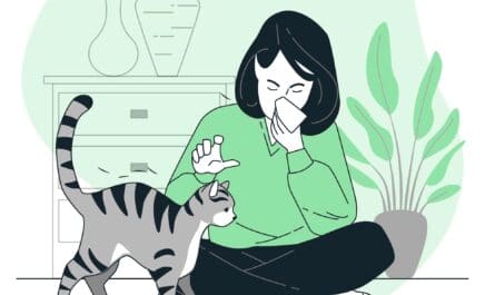 allergie chat