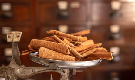bienfaits de la canelle