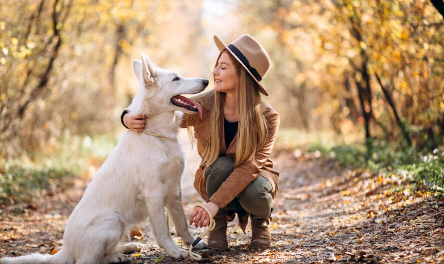 Comment reconnaître un chien en bonne santé ?