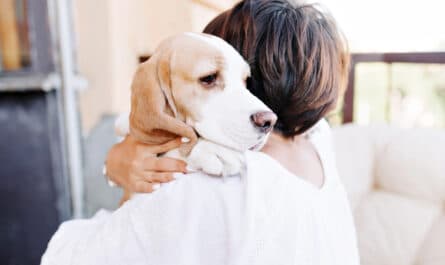 moral chien